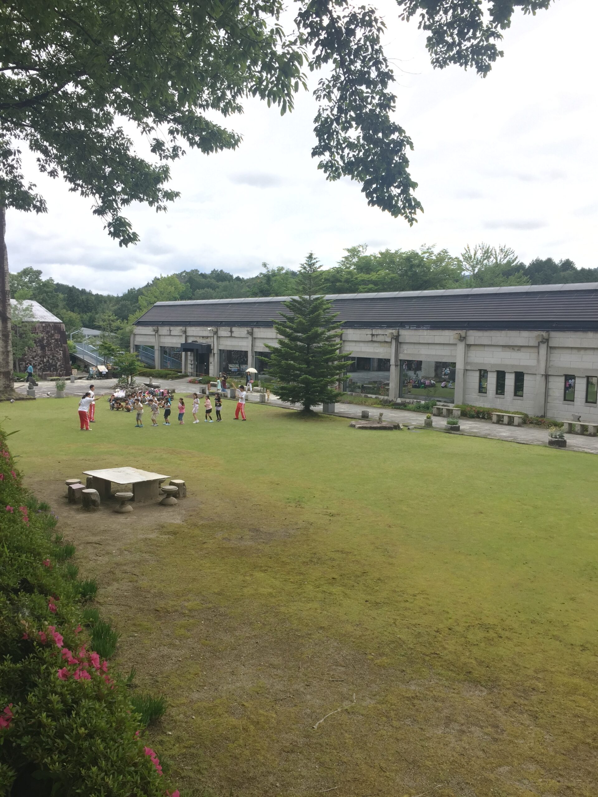 芝生のひろばで (６月５日)