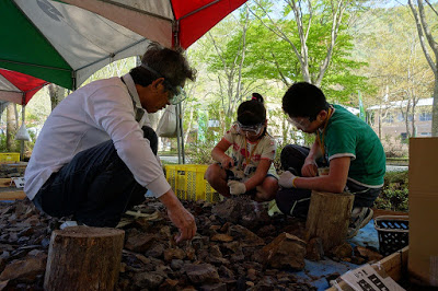 鉱山体験館で｢化石(福井県九頭竜) の発掘体験｣ ができます